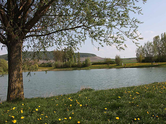 Seinsheimer Landschaftssee als Panorama